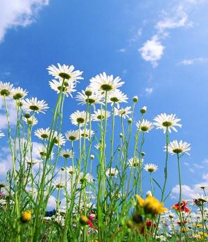 Werkweek leerjaar 1 & 2